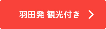 羽田発 観光付き