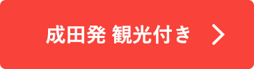 成田発 観光付き