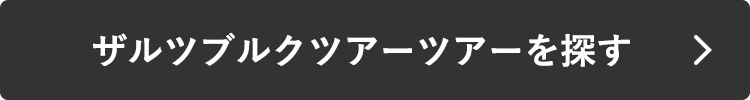 ザルツブルクツアーを探す