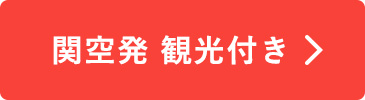 関空発観光付き