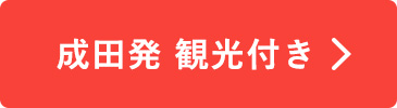 成田発観光付き