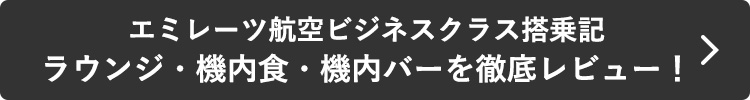 エミレーツ航空ビジネスクラス搭乗記を読む