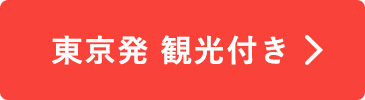 東京発観光付き