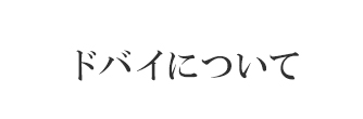 ドバイについて