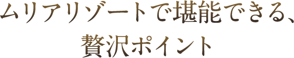 ムリアリゾートで堪能できる、贅沢ポイント